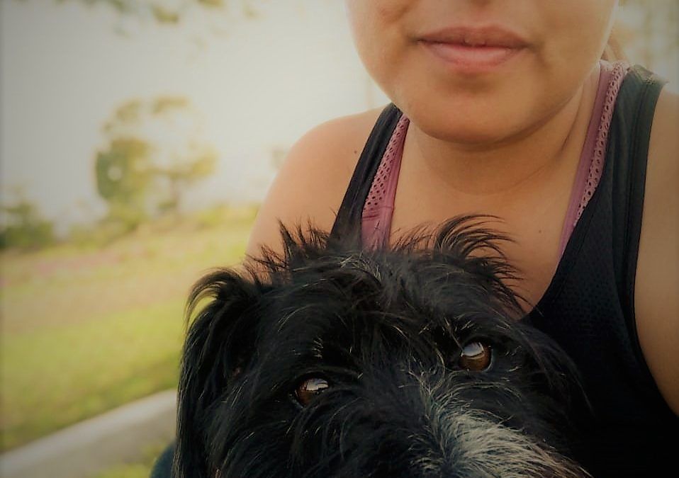 Biodescodificación para perros